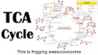 The Krebs Cycle, rapped to the tune of Macklemore's "Thrift Shop"